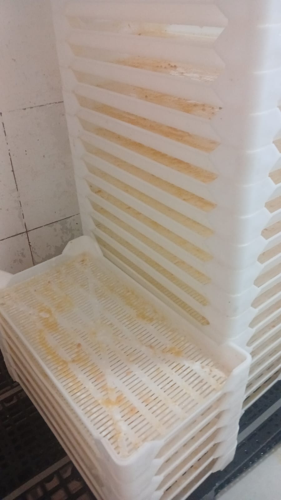 Caixas plásticas sujas antes da higienização