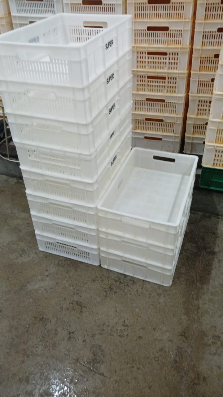 Caixas plásticas higienizadas depois da limpeza